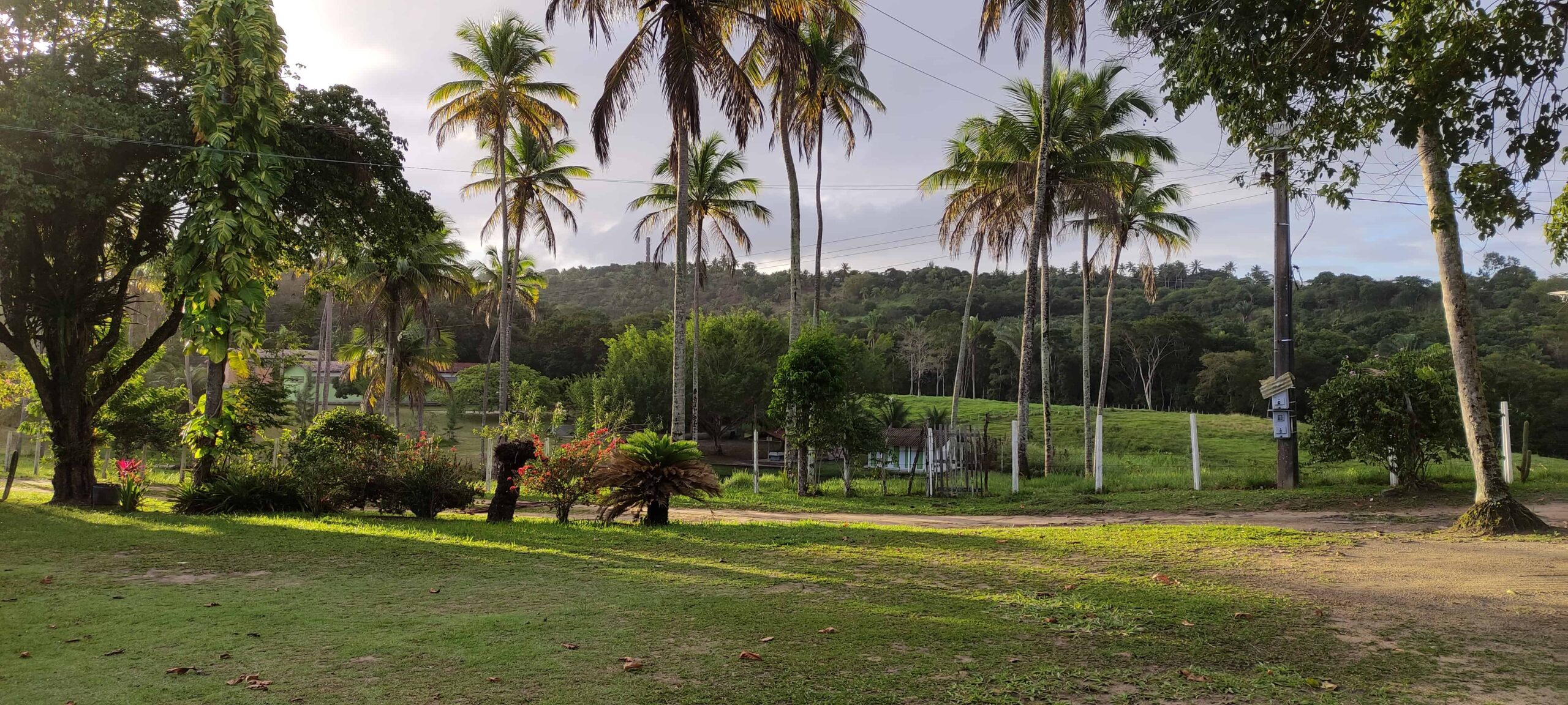 Sítio no Conde com 30,2 hectares. Pista asfaltada e com calçamento até chegar na residência