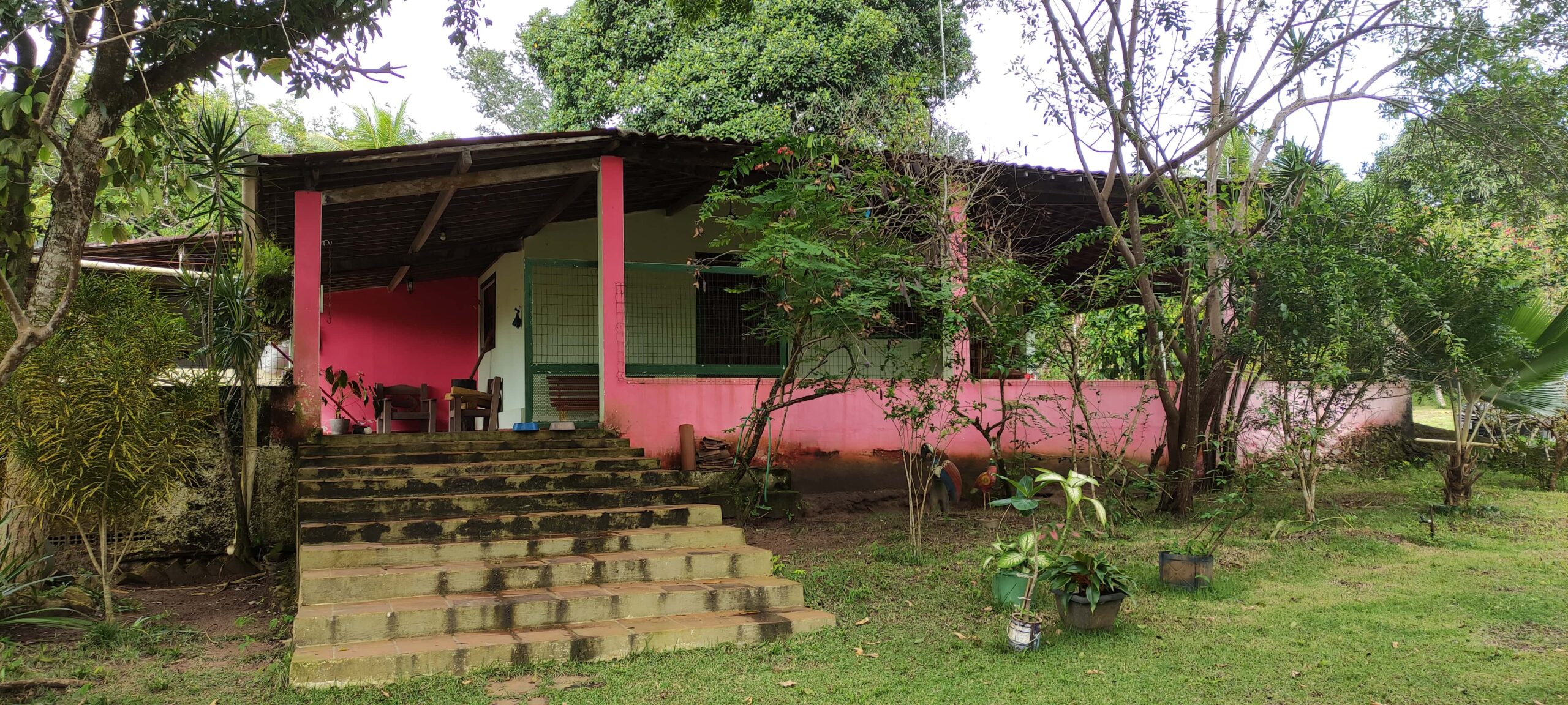 Chácara no conde com 6 hectares, com piscina e tanque de piscicultura