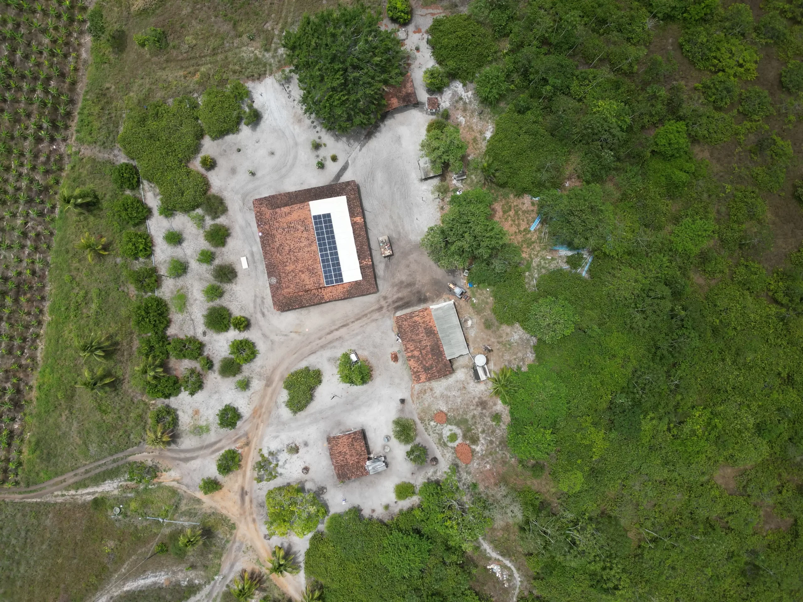 Fazenda São Pedro, com uma extensão de 186 hectares, localizada em Alhandra-PB