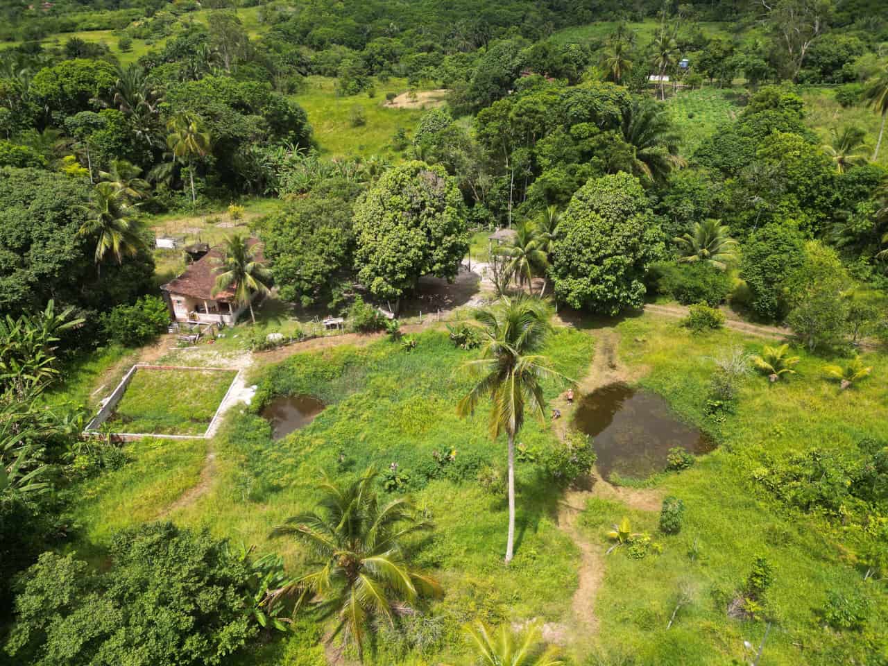 Chácara de 2,5 hectares em Mata Redonda. (Acesso à chácara é todo calçado)